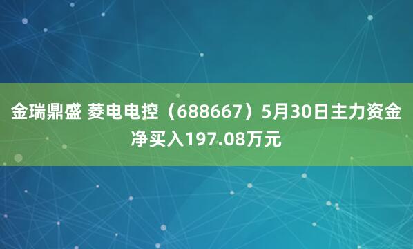 金瑞鼎盛 菱电电控（688667）5月30日主力资金净买入197.08万元