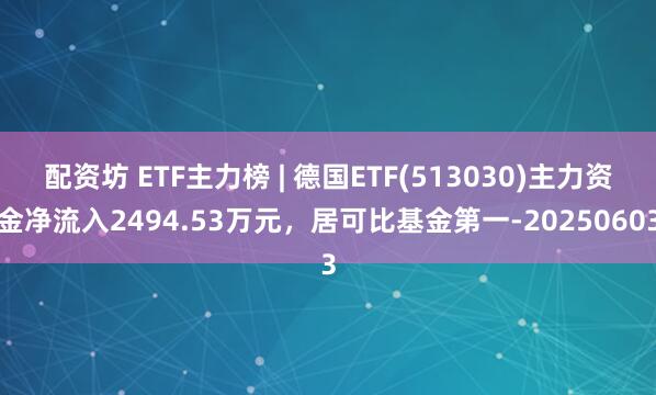 配资坊 ETF主力榜 | 德国ETF(513030)主力资金净流入2494.53万元，居可比基金第一-20250603