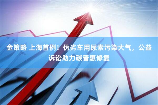 金策略 上海首例！伪劣车用尿素污染大气，公益诉讼助力碳普惠修复