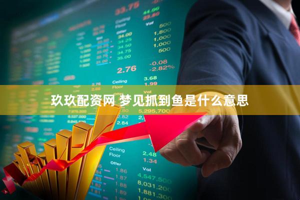 玖玖配资网 梦见抓到鱼是什么意思