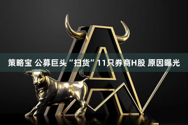 策略宝 公募巨头“扫货”11只券商H股 原因曝光