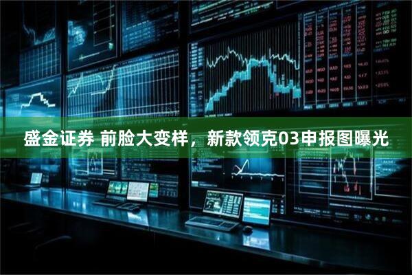 盛金证券 前脸大变样，新款领克03申报图曝光