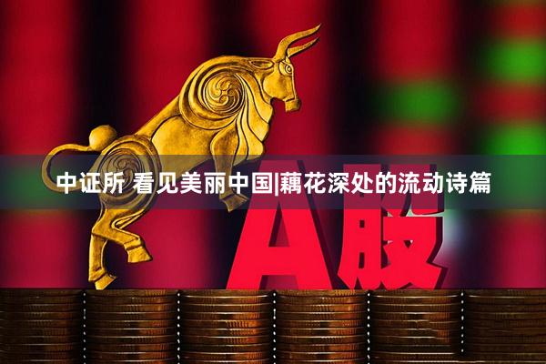 中证所 看见美丽中国|藕花深处的流动诗篇