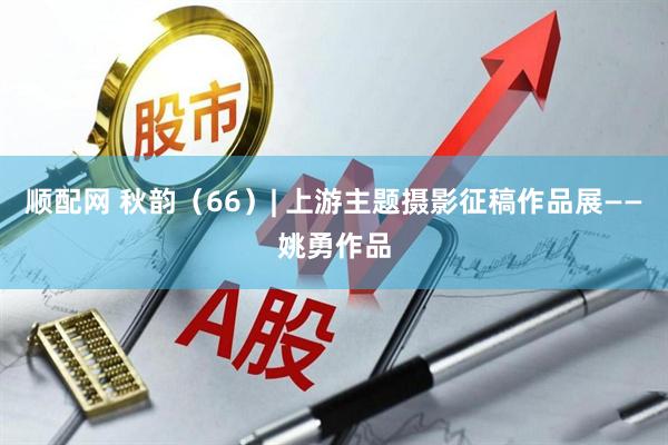 顺配网 秋韵（66）| 上游主题摄影征稿作品展——姚勇作品