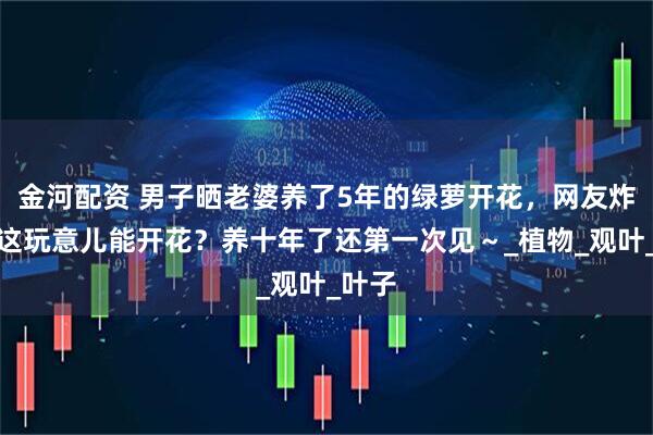 金河配资 男子晒老婆养了5年的绿萝开花，网友炸锅：这玩意儿能开花？养十年了还第一次见～_植物_观叶_叶子