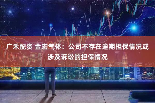 广禾配资 金宏气体：公司不存在逾期担保情况或涉及诉讼的担保情况