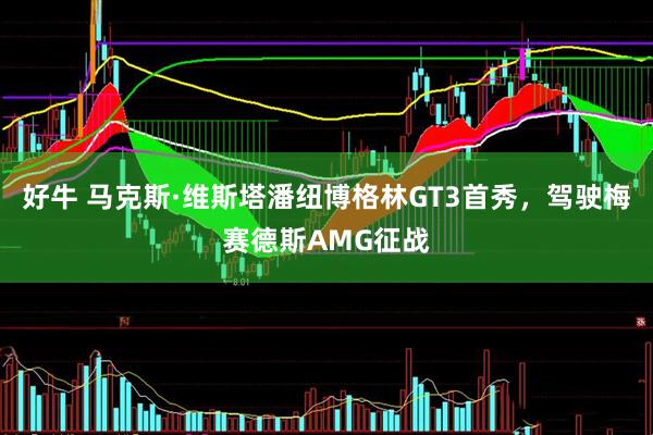 好牛 马克斯·维斯塔潘纽博格林GT3首秀，驾驶梅赛德斯AMG征战